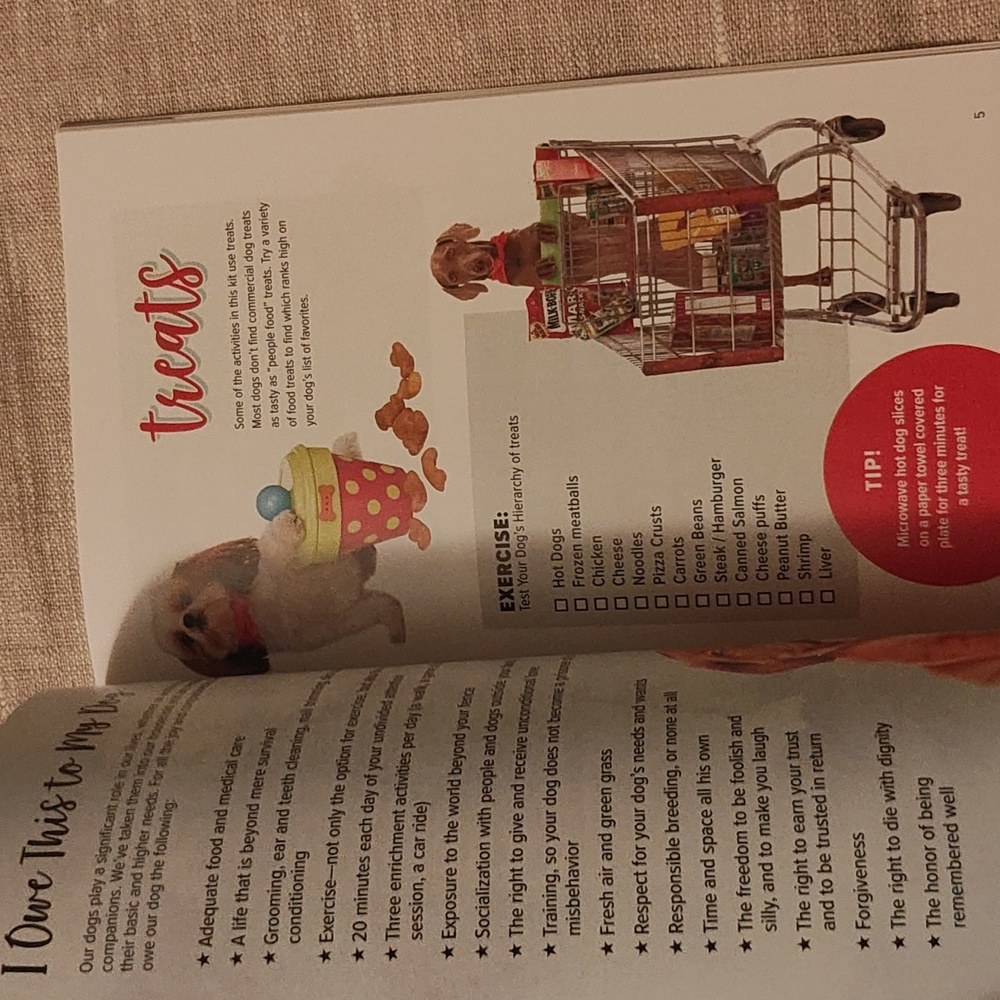 Dog Activity Kit Booklet - Picture 7 of 8